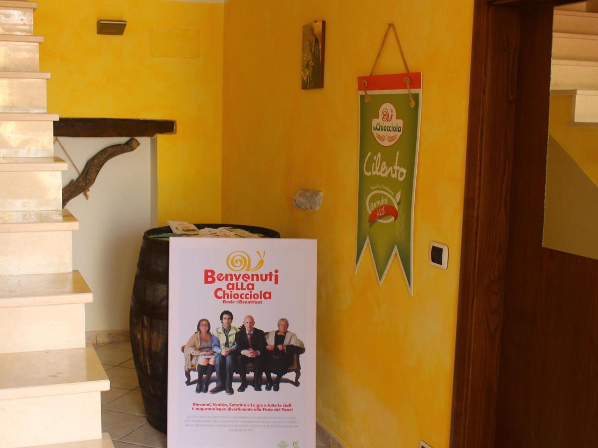 Bed and Breakfast La Chiocciola Trentinara Экстерьер фото